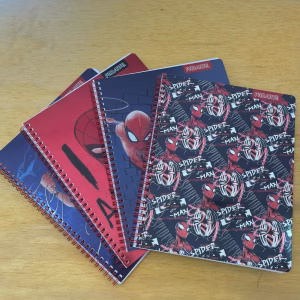 Cuaderno Universitario Matematicas 100 hojas. Marca Proarte
