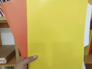 Carpeta Cartulina Oficio Pigmentada